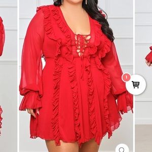 Red see through long sleeved mini! Size 4x/26. Brand new, never worn.